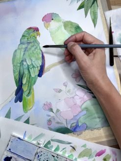 Alternative view of Pet Portrait